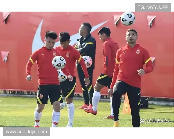 国家队召回多名归化球员 强化锋线深度，国家队归化球员5人